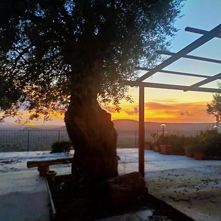 Il Colle Degli Ulivi San Calogero Exterior foto