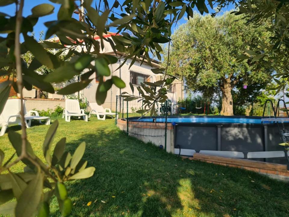 Il Colle Degli Ulivi San Calogero Exterior foto