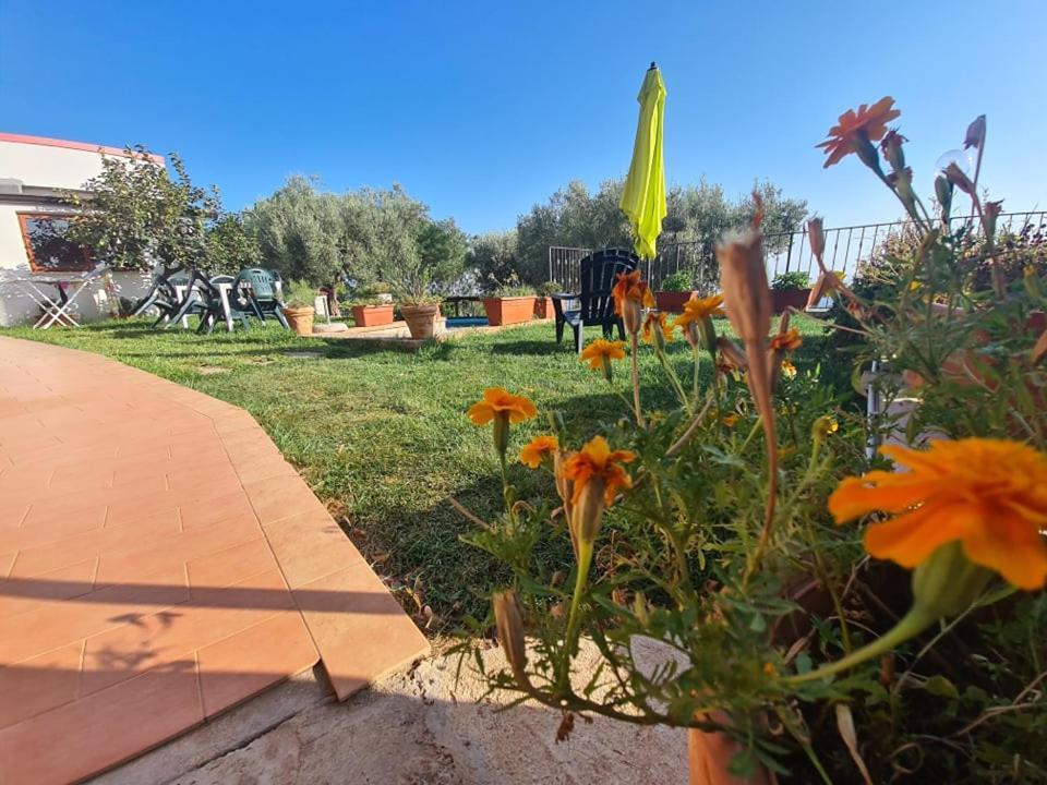 Il Colle Degli Ulivi San Calogero Exterior foto