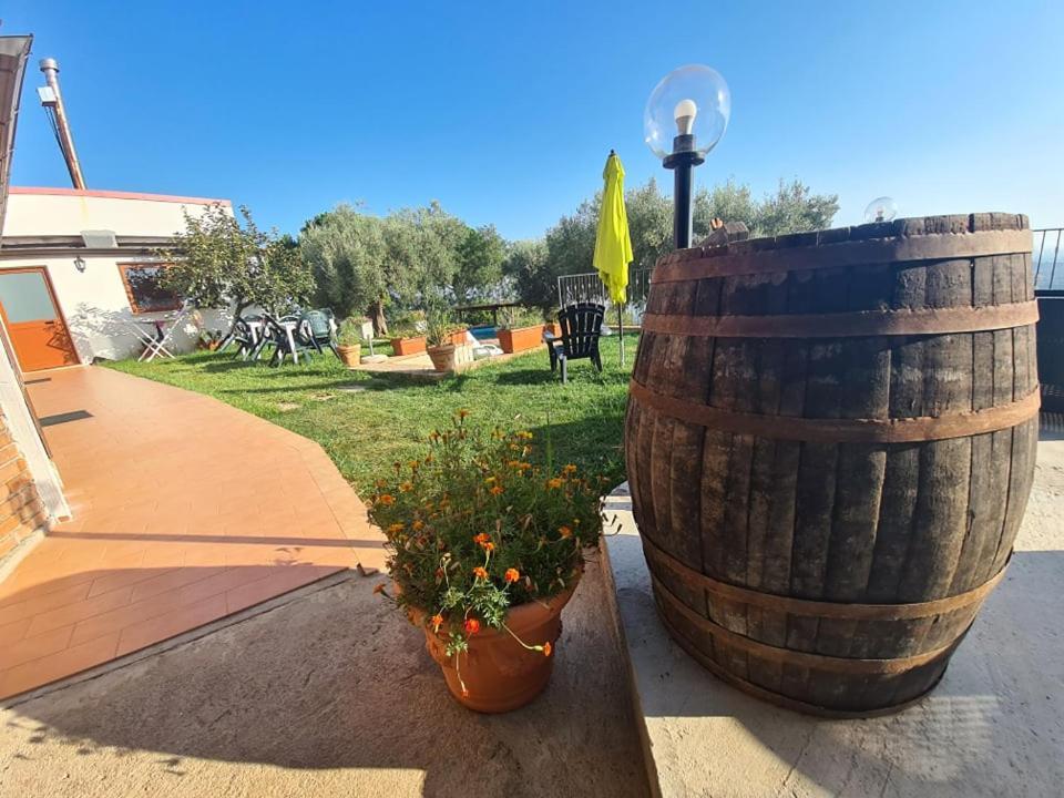 Il Colle Degli Ulivi San Calogero Exterior foto