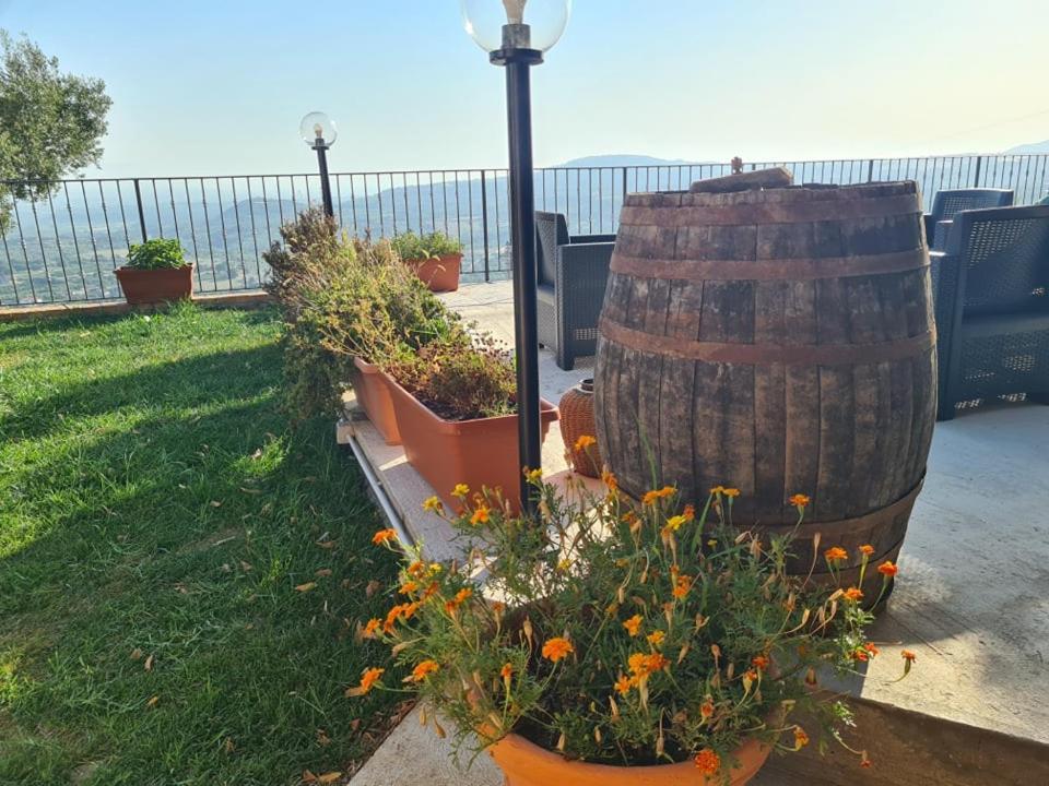 Il Colle Degli Ulivi San Calogero Exterior foto
