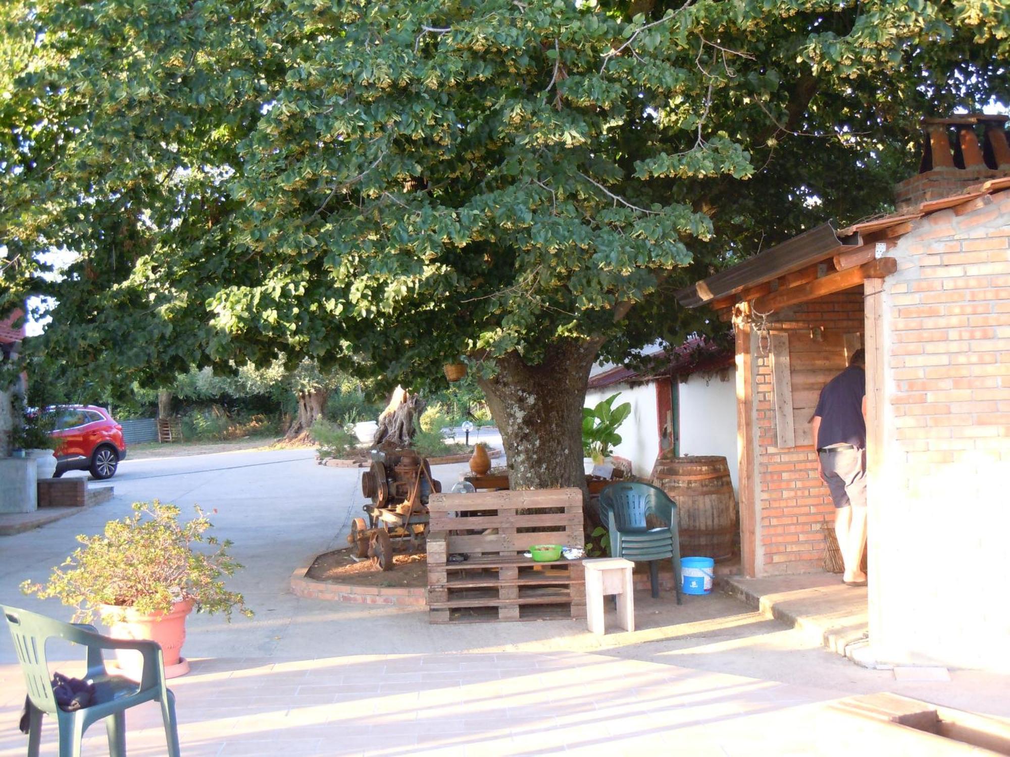 Il Colle Degli Ulivi San Calogero Exterior foto