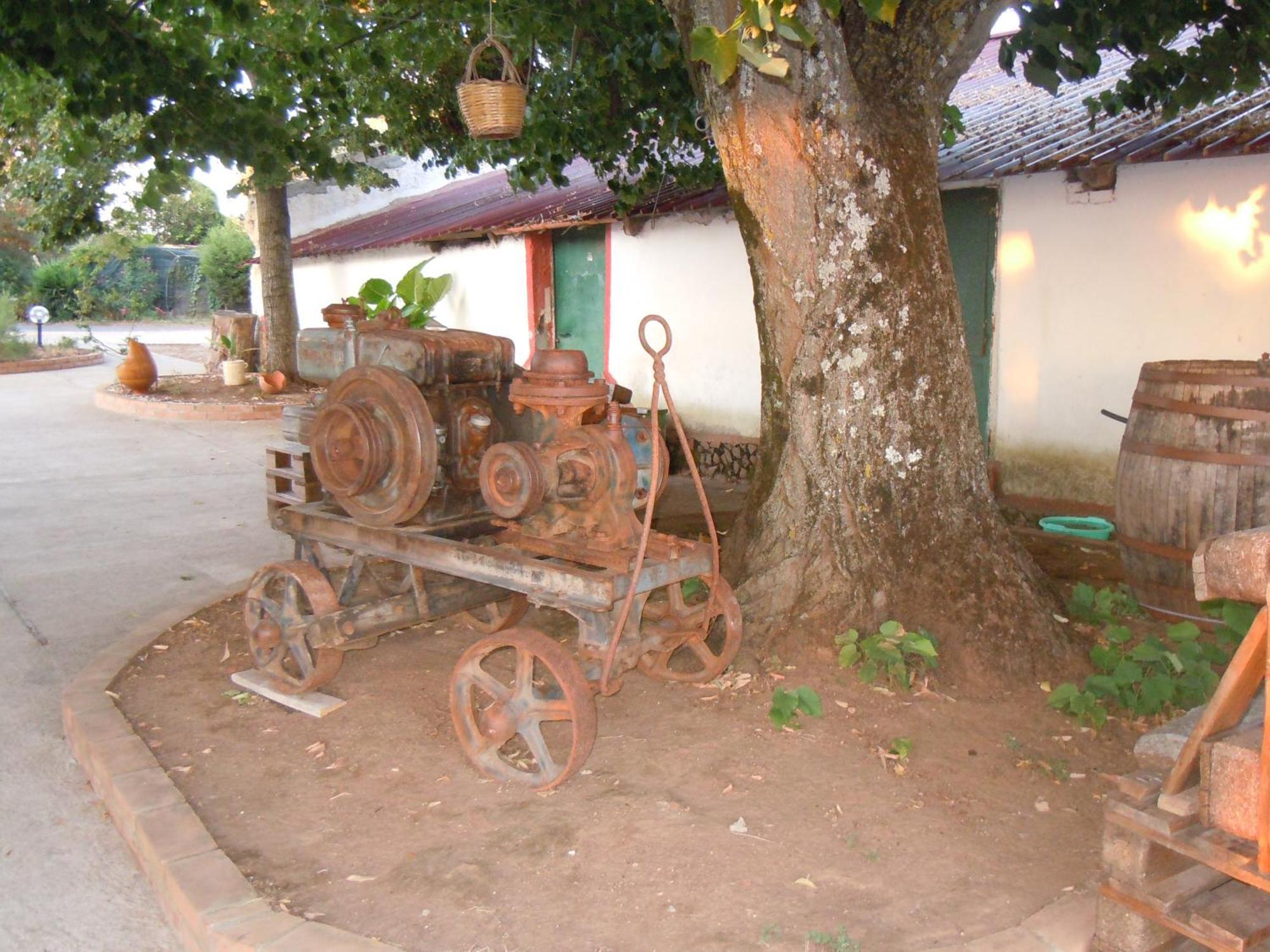 Il Colle Degli Ulivi San Calogero Exterior foto
