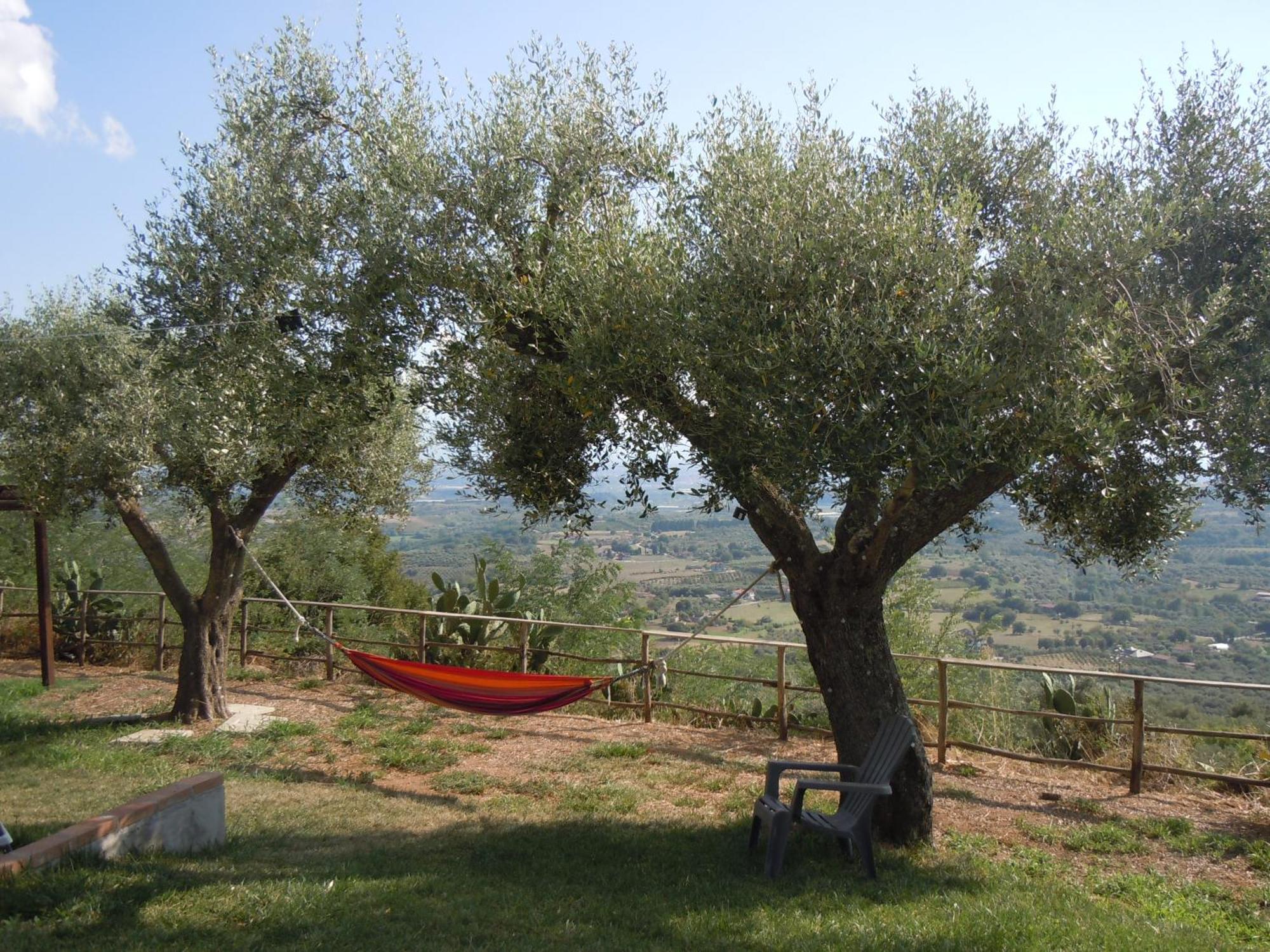 Il Colle Degli Ulivi San Calogero Exterior foto