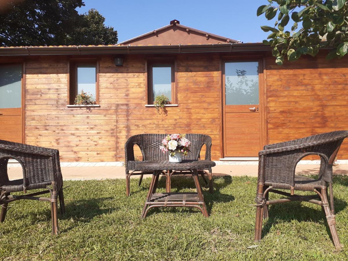 Il Colle Degli Ulivi San Calogero Exterior foto