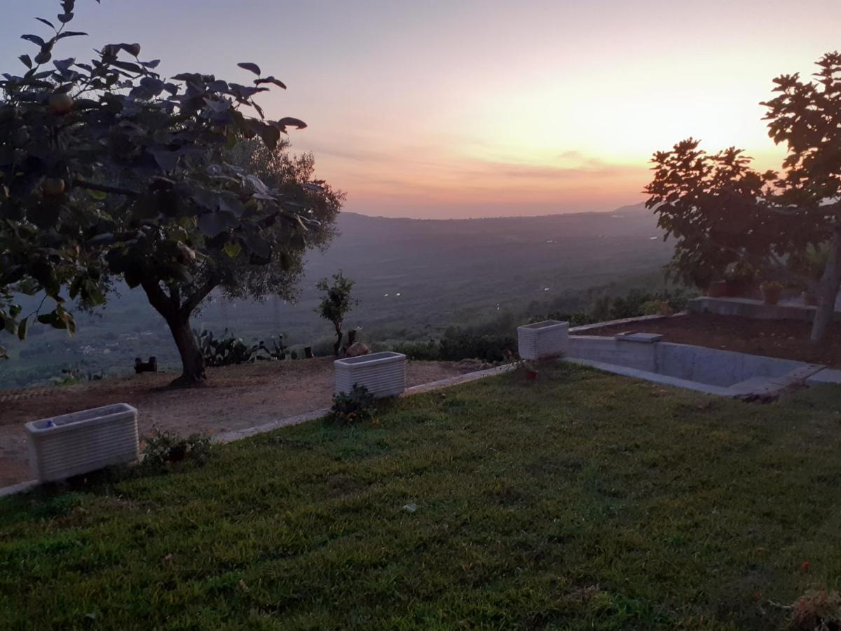 Il Colle Degli Ulivi San Calogero Exterior foto